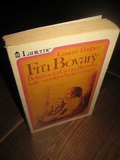 Flaubert: Fru Bovary Boken som George Brandes kalte 