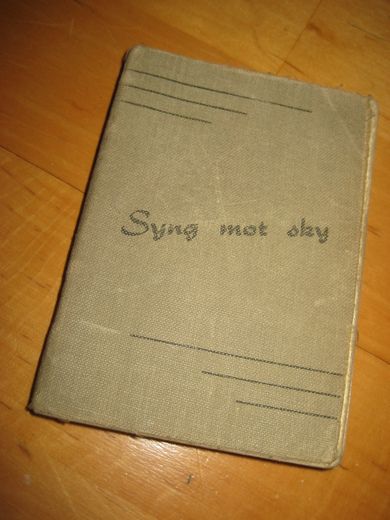syng mot sky. KFUK- KFUM.
