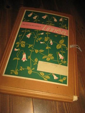 Plantemappen Linnea med innhold masse pressa og tørka blomster 70 tallet