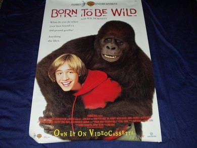 BORN TO BE WILD med Wil Horneff
