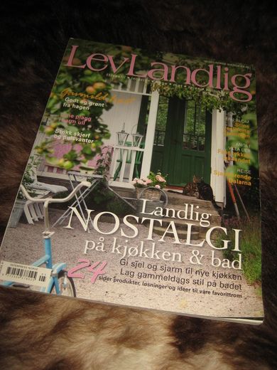 2011 nr 005 Lev Landlig