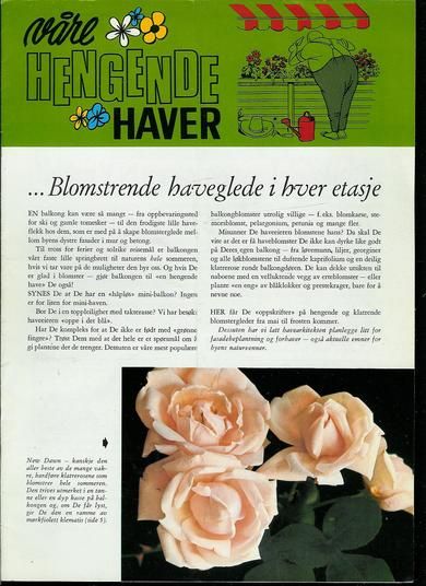 Våre HENGENE HAVER 1969