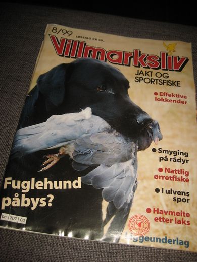 1999 nr 008 Villmarksliv