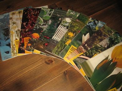 1980 Norsk Hagetidend Komplett årgang