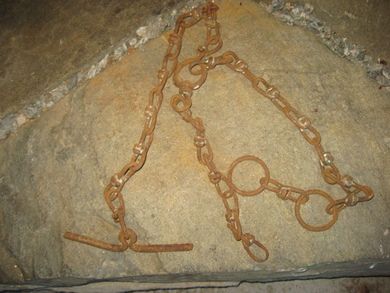 Festeredskap for dyr i bås? Tidelg 1900