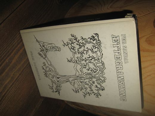 SANDAL: ÆTTEGRANSKING 1980