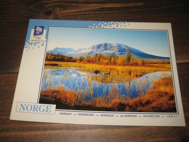 048 LOOC 1991 Skogshorn Telemark