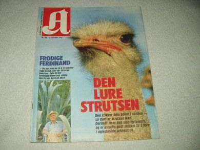 1990 nr 036 A MAGASINET