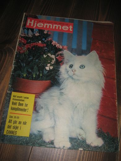1964 nr 032 Hjemmet