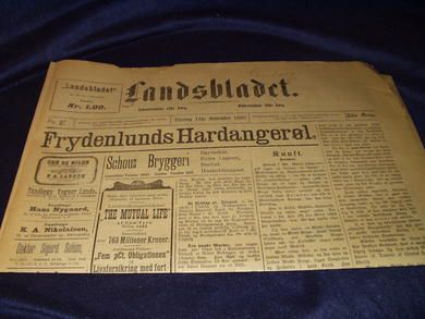 1895 nr 271 Landsbladet