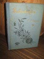 Meyer: Fridsstunder. 1895..