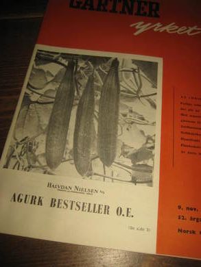 GARTNER yrket 1962 nr 045