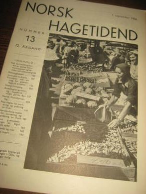 1956 nr 013 NORSK HAGETIDEND