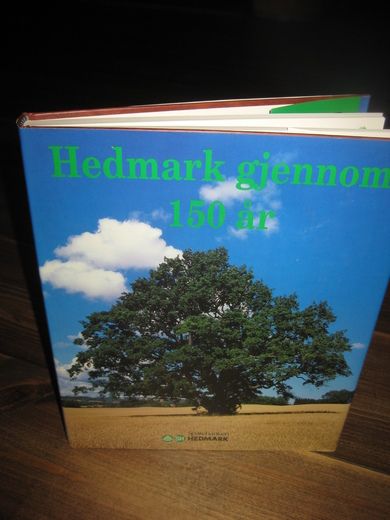Sandberg: Hedemark gjennom 150 år 1995