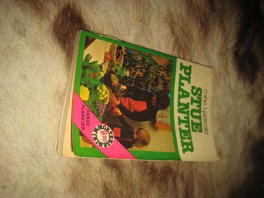 Mine kjære STUE PLANTER. 1979.