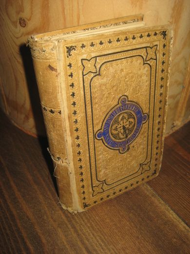 WINTER HJELM: NORSK LYRIKK efter 1814. 1882.