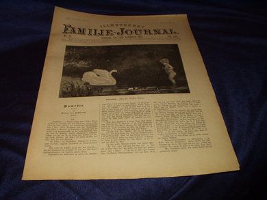 1893 nr 039 Illustrert Familie - Journal