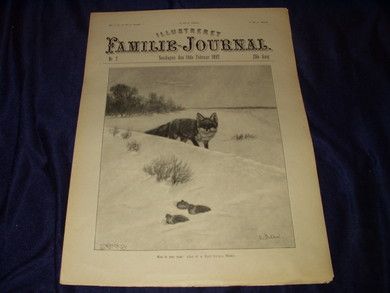 1897 nr 007 Illustreret Familie Journal