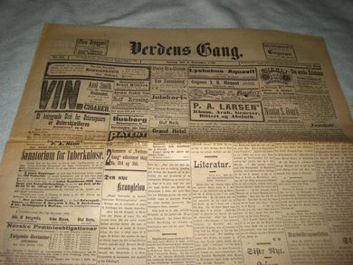 1899 nr 355 Verdens Gang