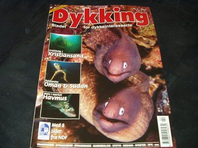 2004 nr 002 Dykking