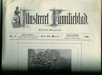 1894 nr 010 Illustreret Familieblad