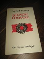 Bakkan: GJENNOM FOSSANE. 1982.