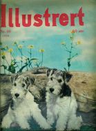 1956 nr 040 Illustrert