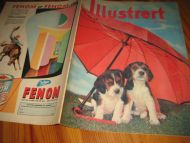 1956 nr 018 Illustrert