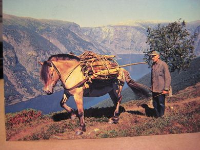 Norge. Til sæters. Enerett E.A. Vikesland, Aurland. 70 tallet.
