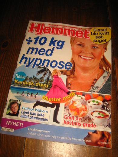 2009 nr 028 Hjemmet