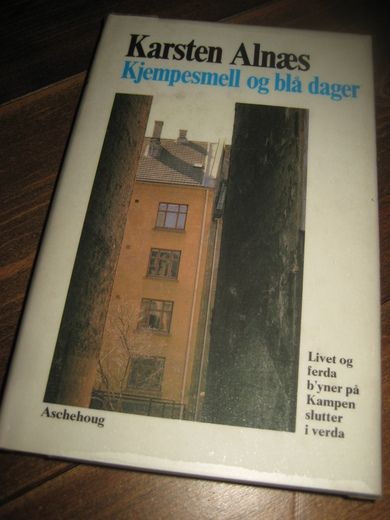 ALNÆS KARSTEN: Kjempesmell og blå dager 1981