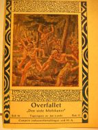 Bok nr 013, Overfallt.