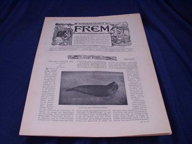 1901 nr 045 FREM Lys over land