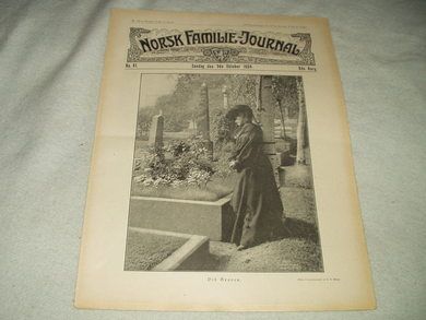 1904 nr 041 NORSK FAMILIE JOURNAL
