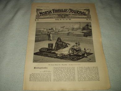 1905 nr 024 NORSK FAMILIE JOURNAL