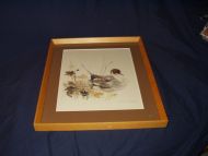 Mats Stage fuglebilder fra 60-70 tallet