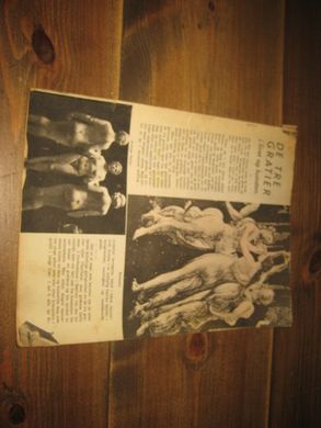 Magasinet uten omslag nr 16 årstall finn eg ikkje