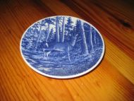 FAUNA NORVEGIA: RÅDYR