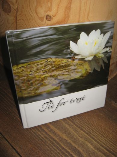 Tid for trøyst. 2009.