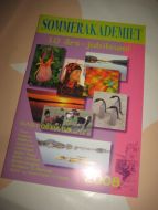 2008, Sommerakademiet kunst & kultur. 