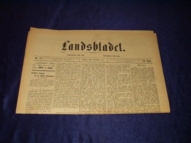 1893 nr 300 Landsbladet