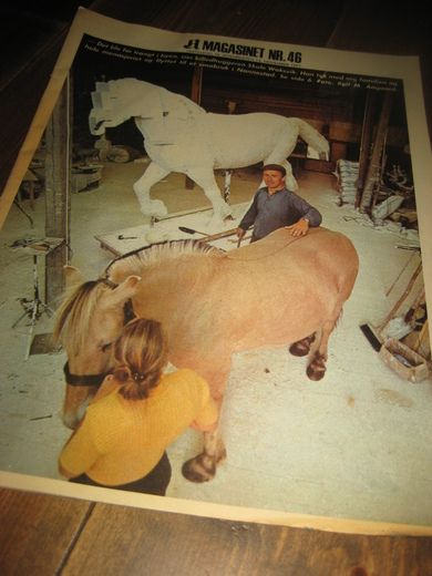 1971 nr 046 A MAGASINET