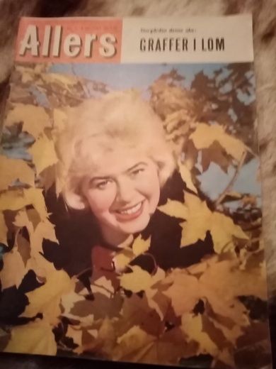 1963 nr 041 Allers