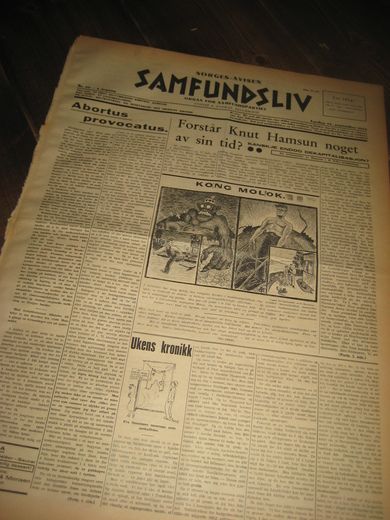 1934 nr 089 SAMFUNDSLIV