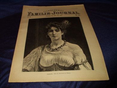 1895 nr 022 Illustrert Familie - Journal