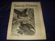 1898 nr 011 Allers Familie Journal