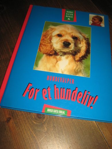 FOR ET HUNDELIV! 1999. 