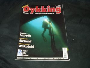 2004,nr 001, Dykking