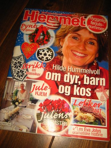 2007 nr 050 Hjemmet