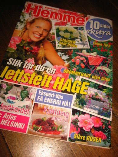2007 nr 017 Hjemmet
